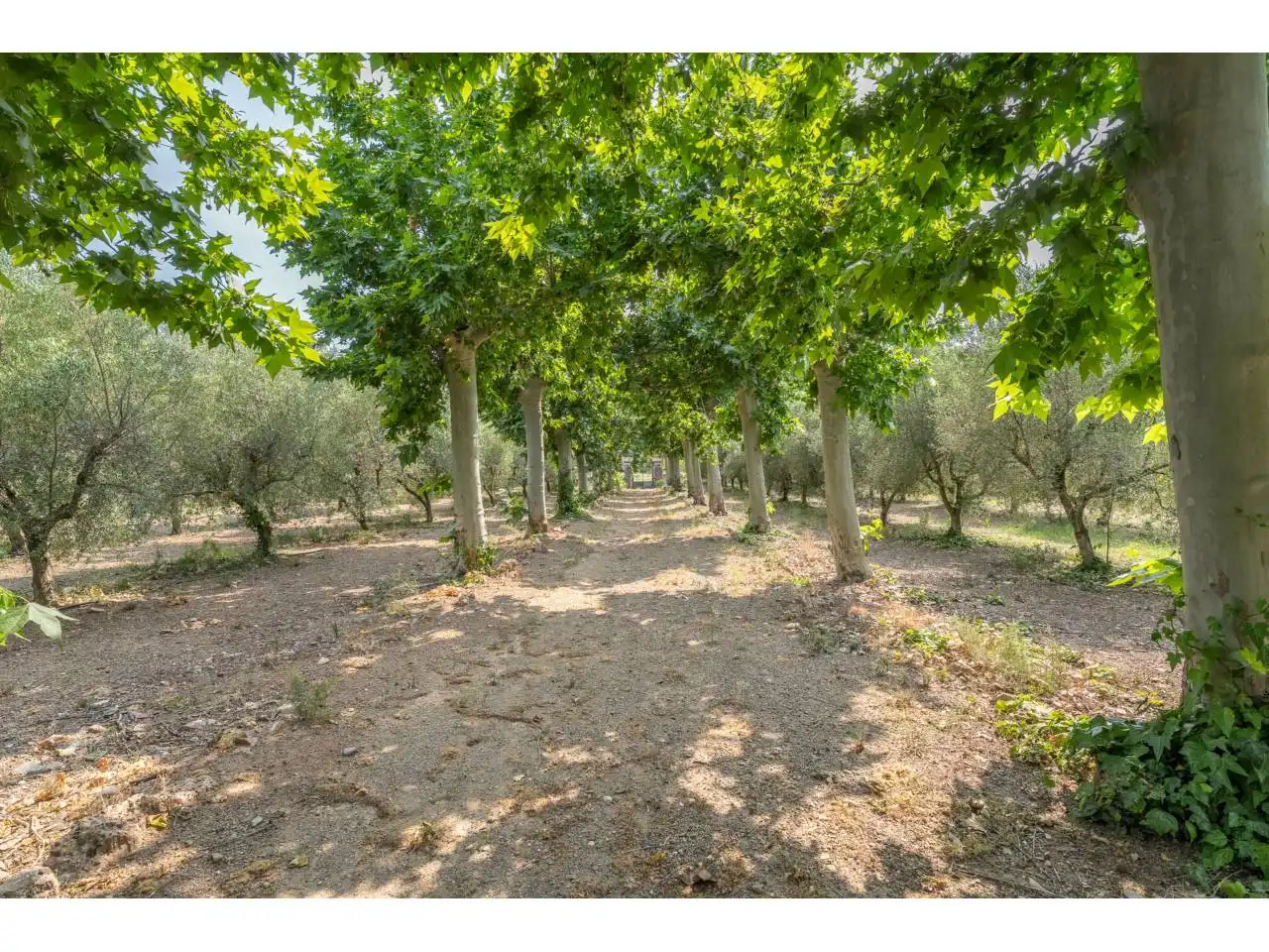 Finca rústica en venta en Reus con Jardín privado, Terraza y Piscina