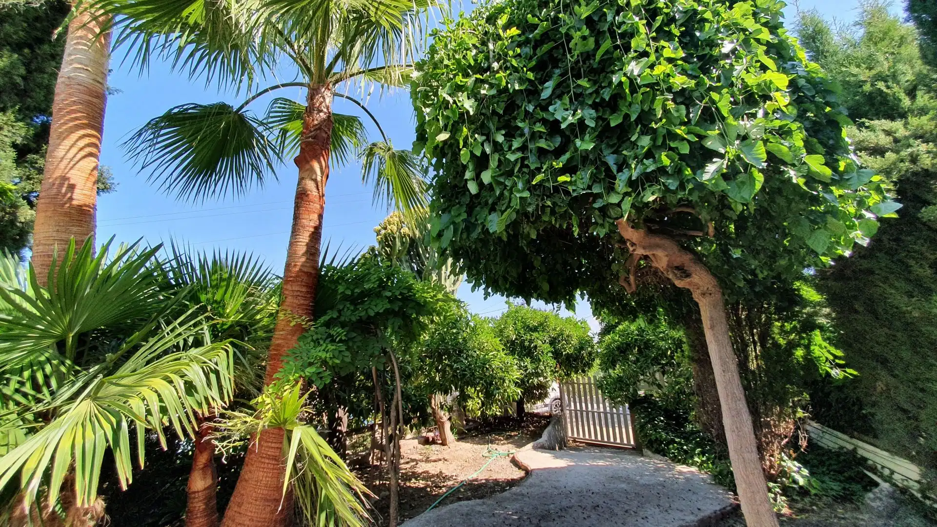 Vista exterior de Finca rústica en venta en Alhaurín El Grande con Piscina