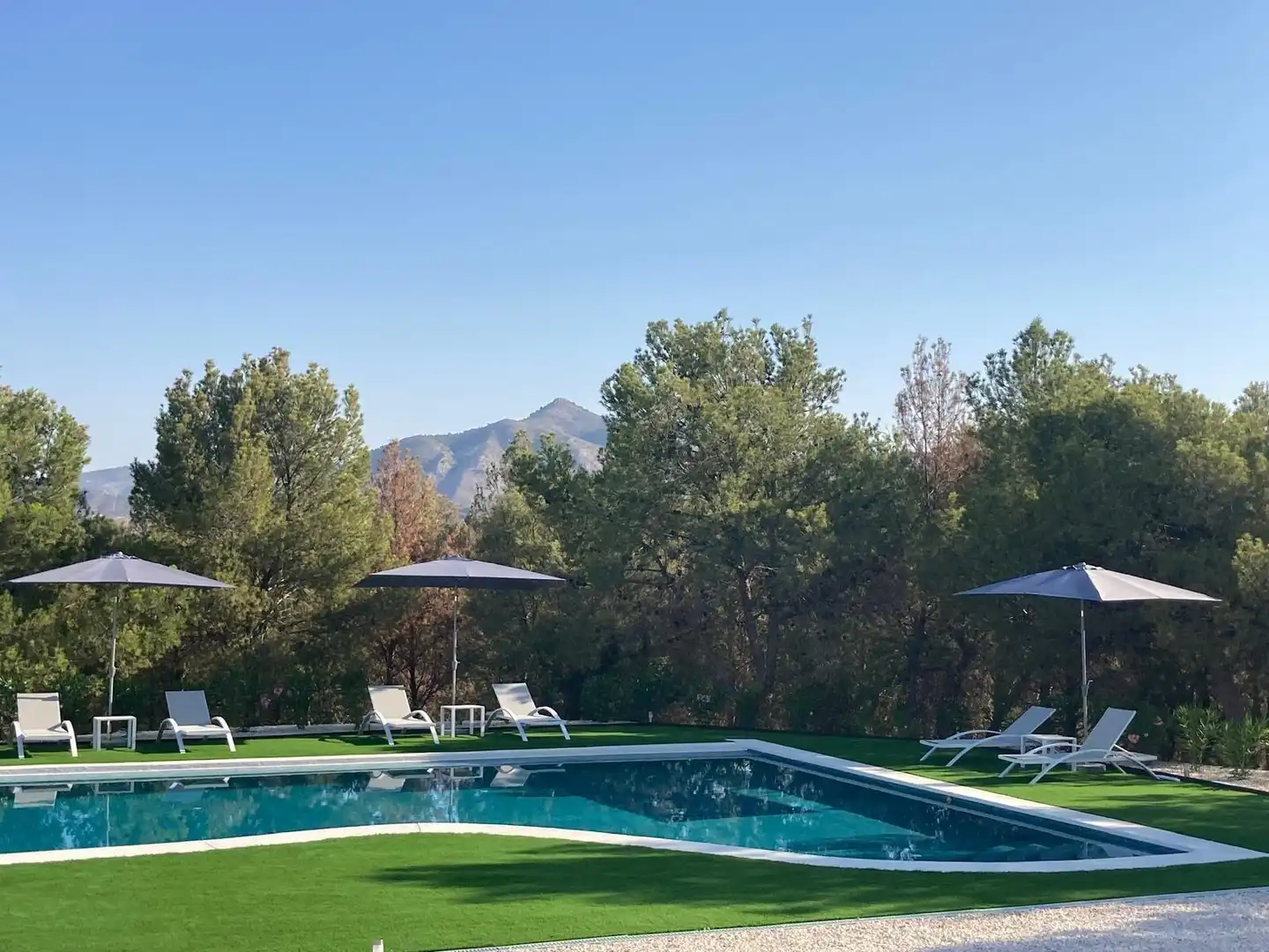 Piscina de Casa o xalet en venda en Elda amb Aire condicionat, Jardí privat i Terrassa
