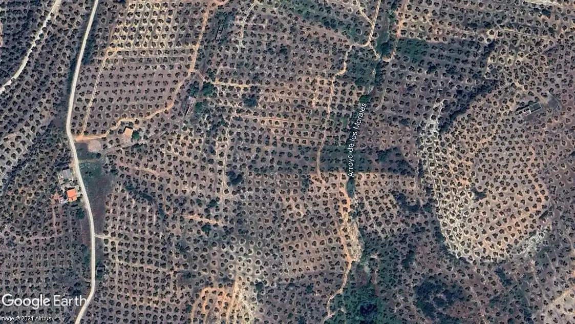 Terreni e lotti in vendita a Navas de San Juan, imagen 6