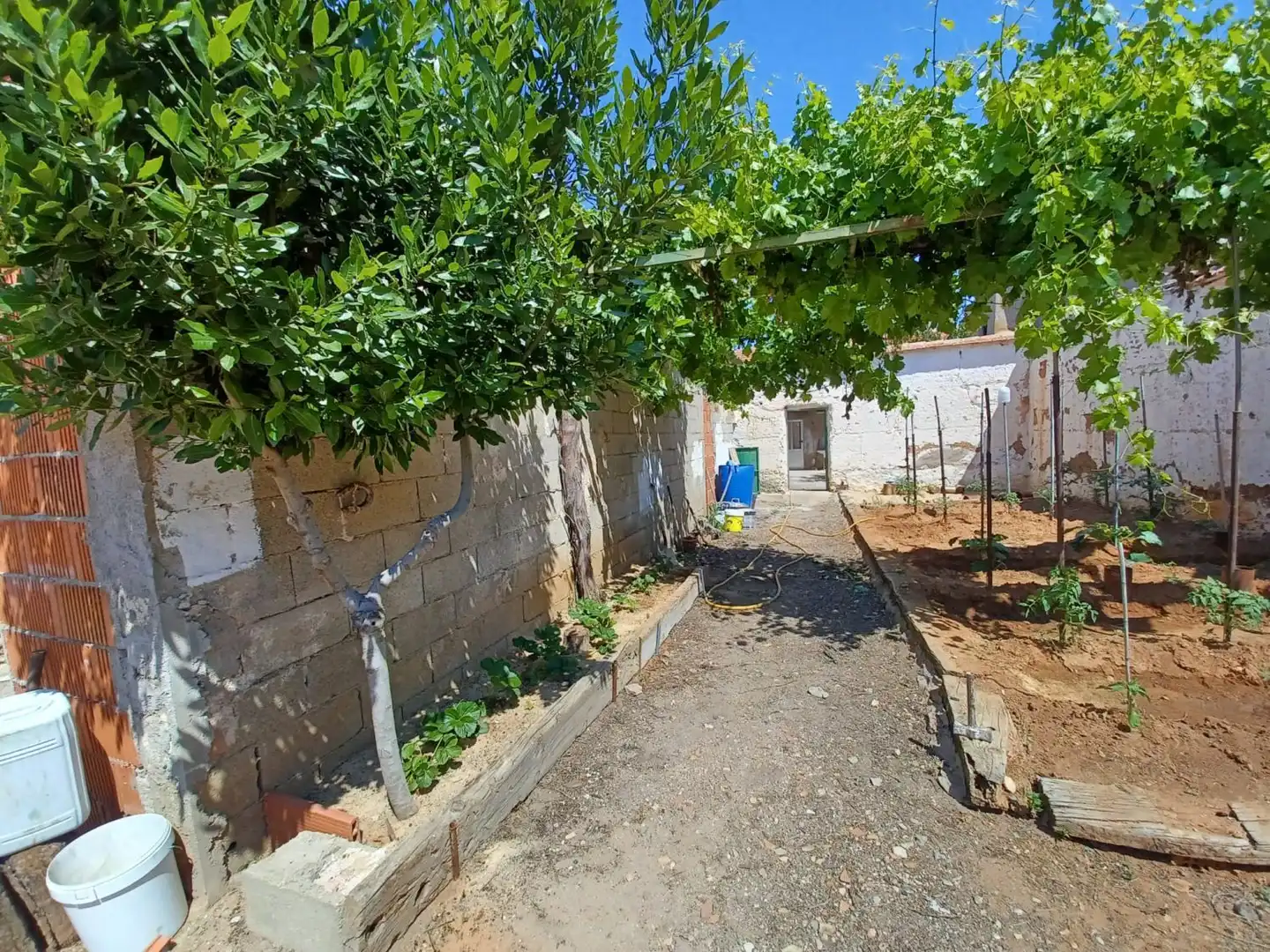 Casa o chalet en venta en Minaya con Calefacción, Jardín privado y Trastero