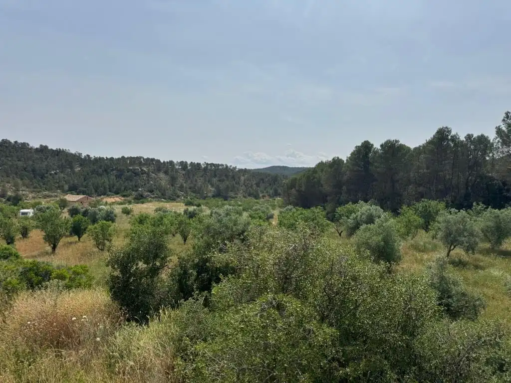 Terreni e lotti in vendita a Mazaleón, imagen 29