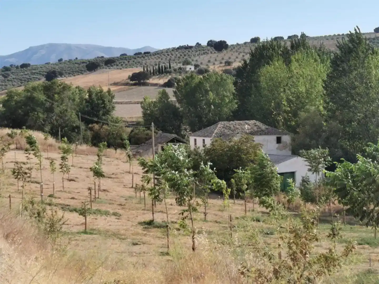 Vista exterior de Finca rústica en venda en Santa Cruz del Comercio