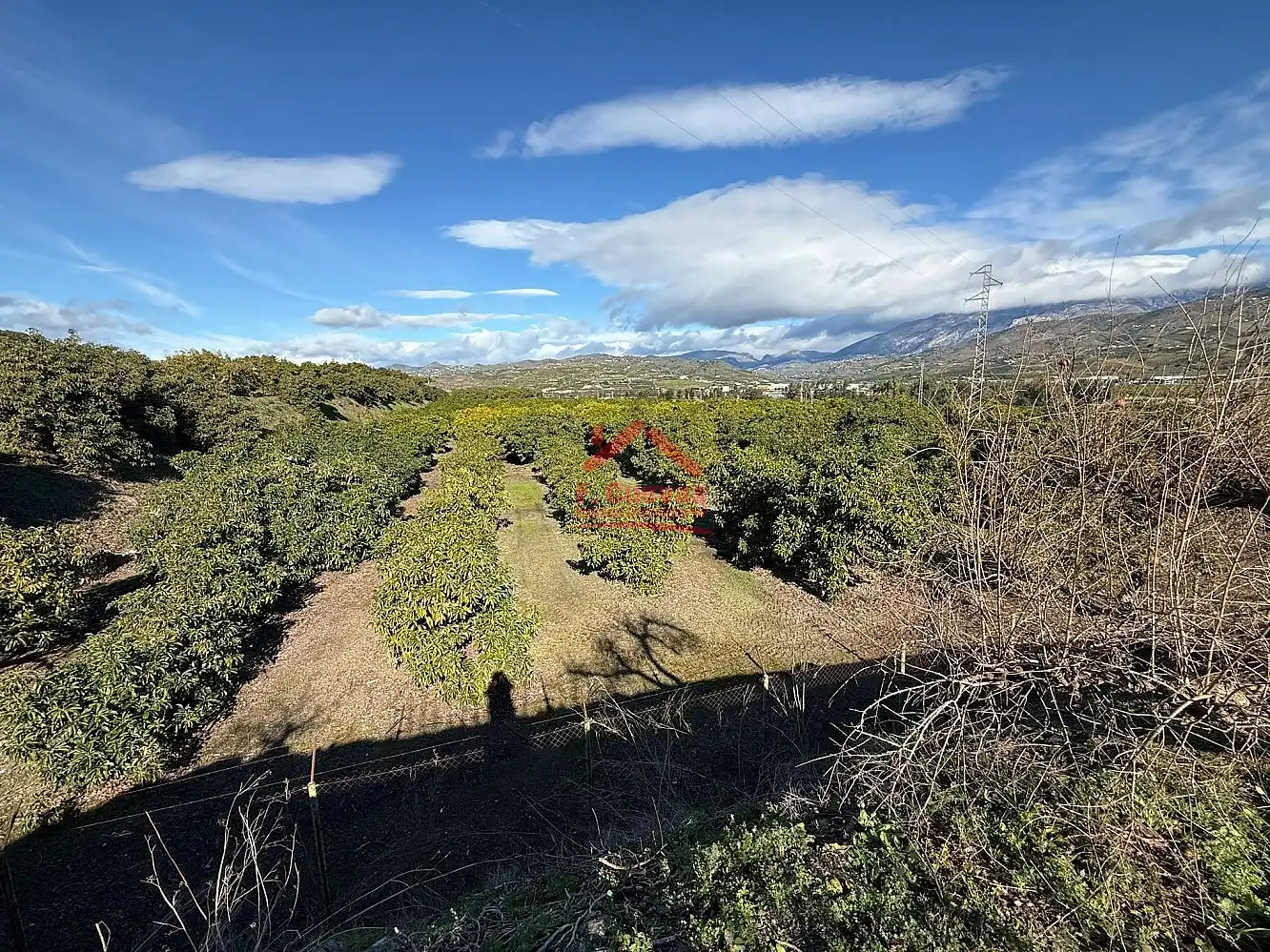 Vista exterior de Finca rústica en venda en Vélez-Málaga amb Terrassa i Piscina