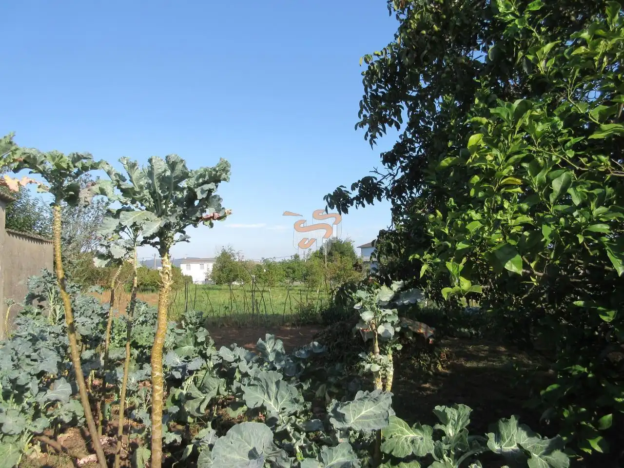 Casa rústica amb jardí en venda a A Malata - Catabois - Ciudad Jardín, imagen 24