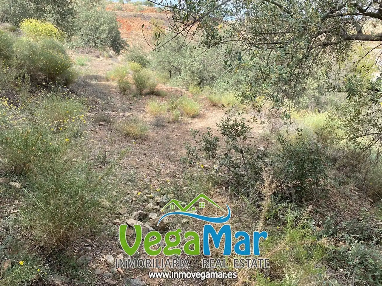 Grundstücke und Bauplätze zum Verkauf in Pista del Cerval, imagen 13
