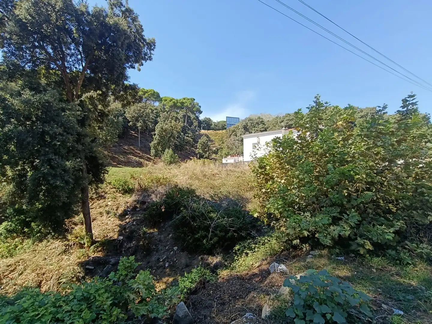 Lands and plots for sale in CASTELL DOSRIUS 19, imagen 2