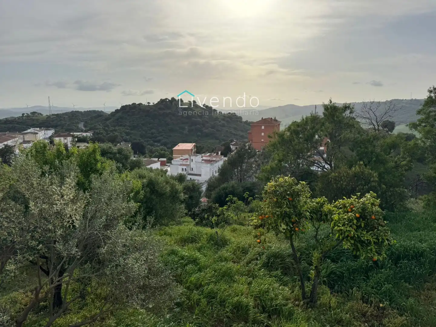 Casa o chalet en venta en Alcalá de los Gazules