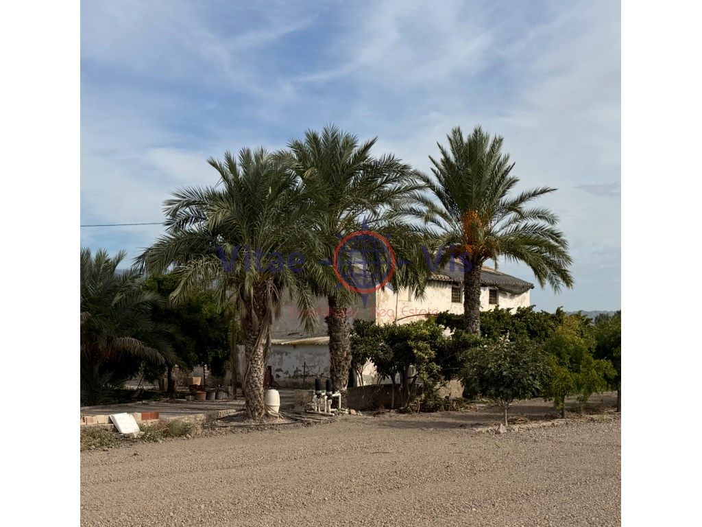 Exterior view of House or chalet for sale in Lorca