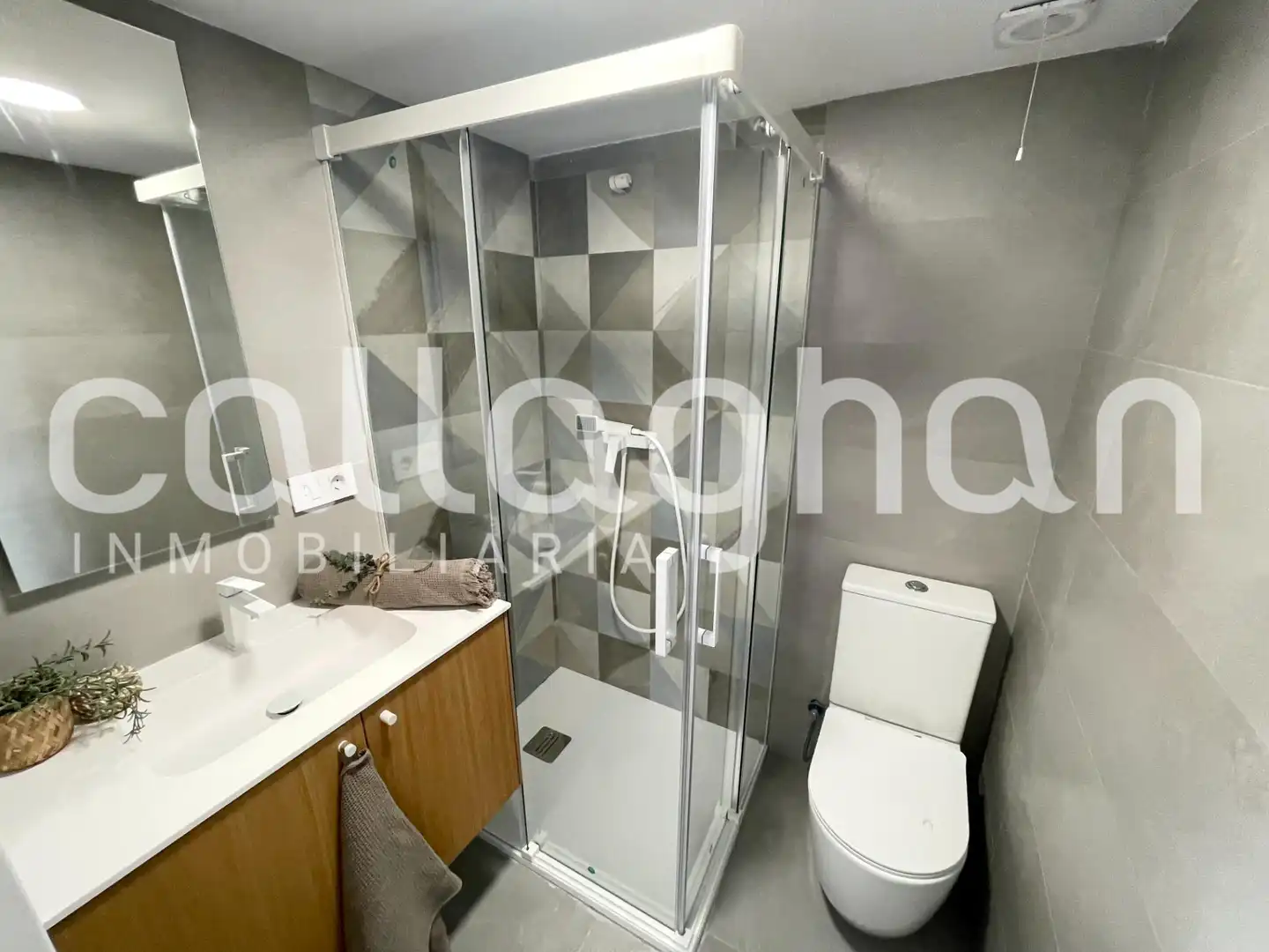 Lofts for rent in Mont-Olivet