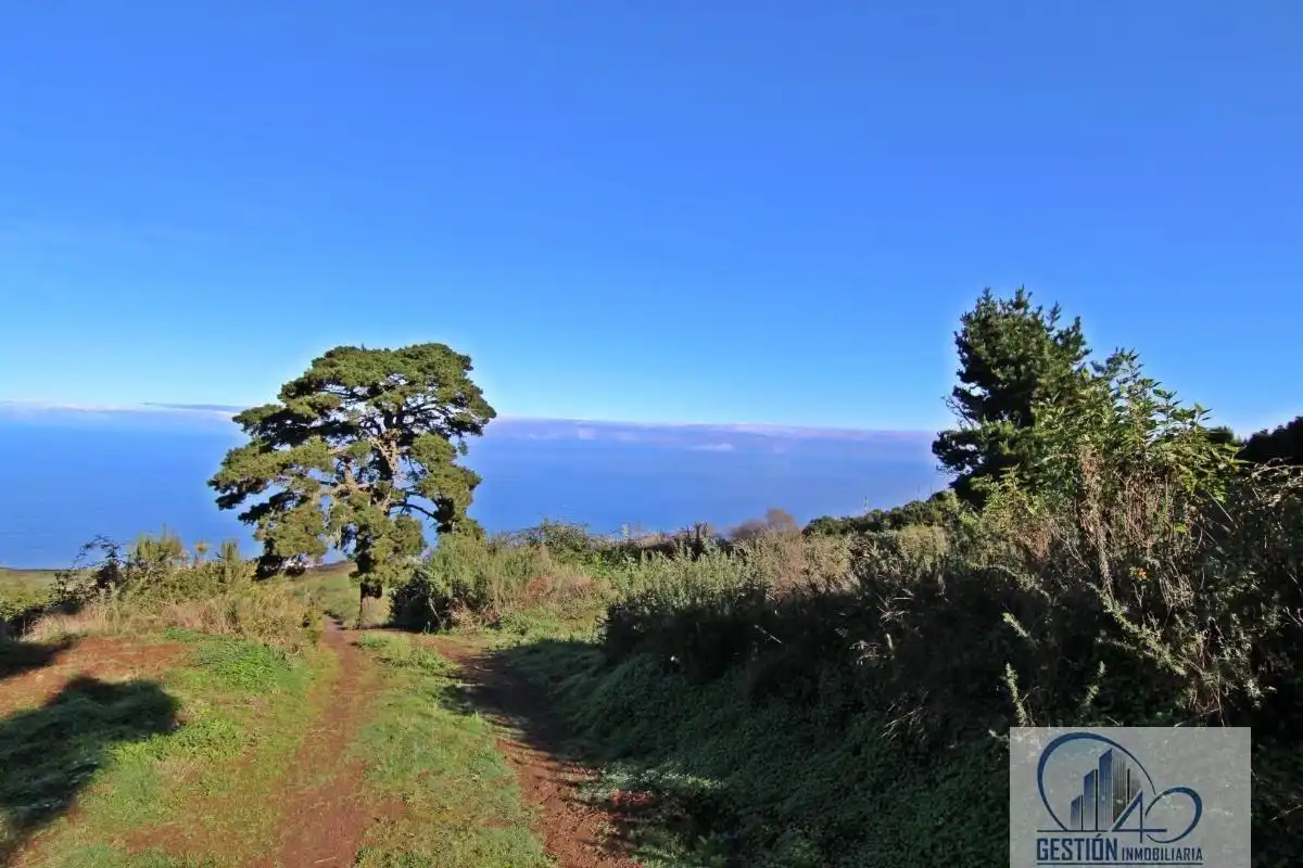 Finca rústica en venta en Los Realejos
