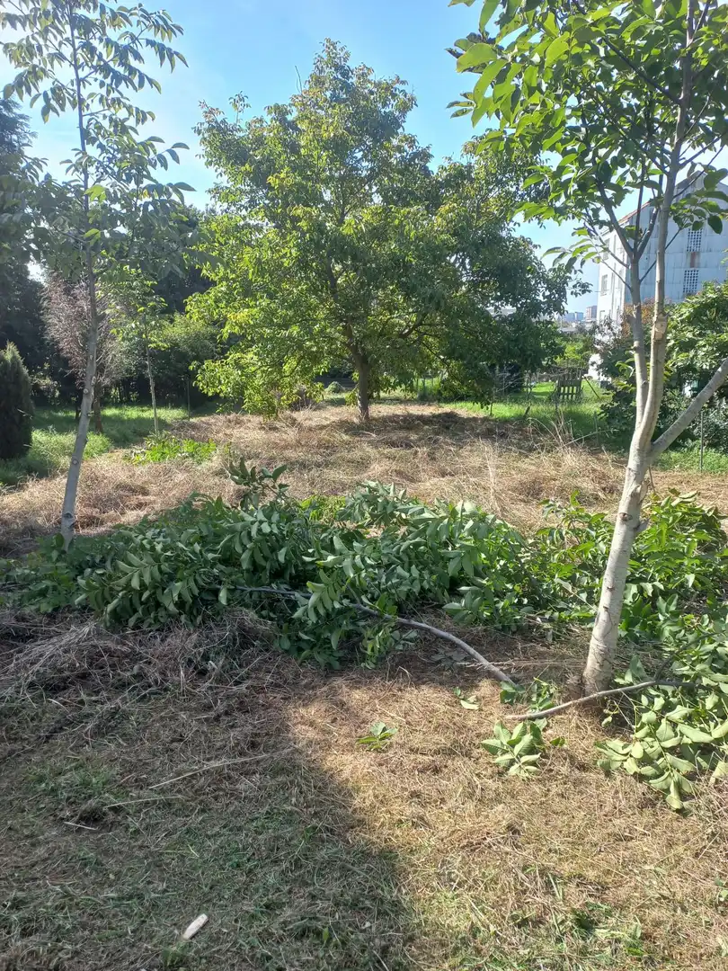 Terreni e lotti in vendita a A Gándara, imagen 4
