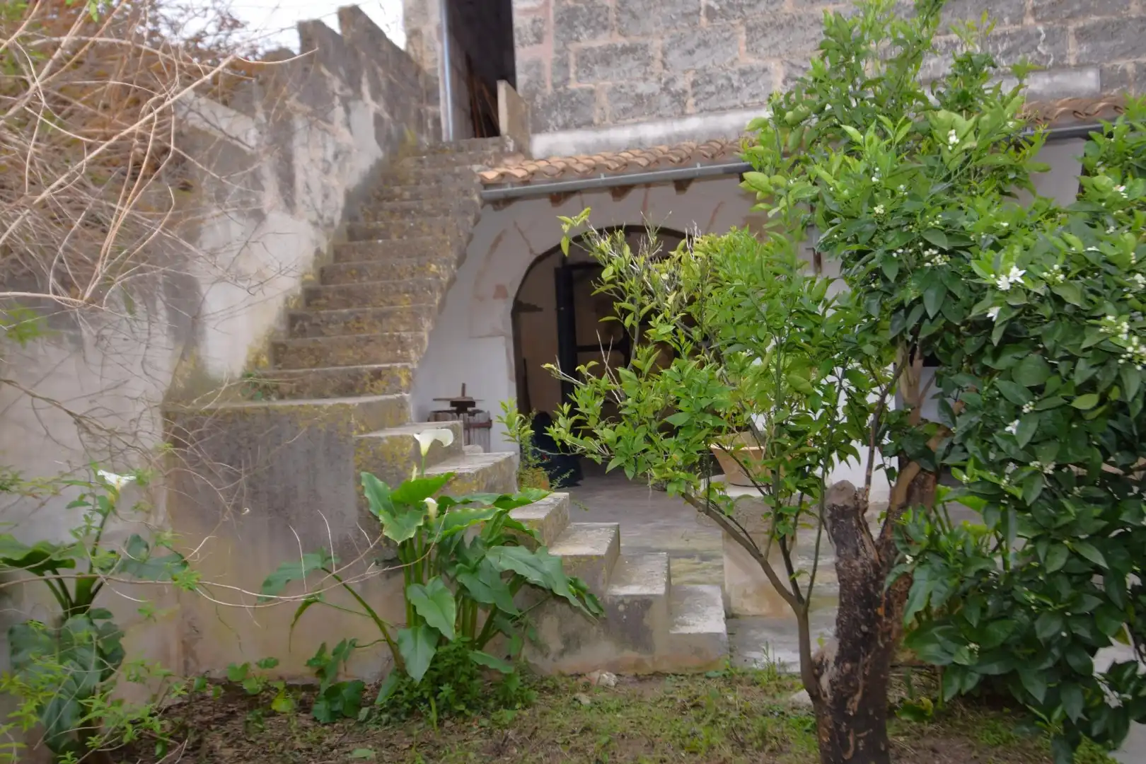 Maison avec jardin à vendre à Muro