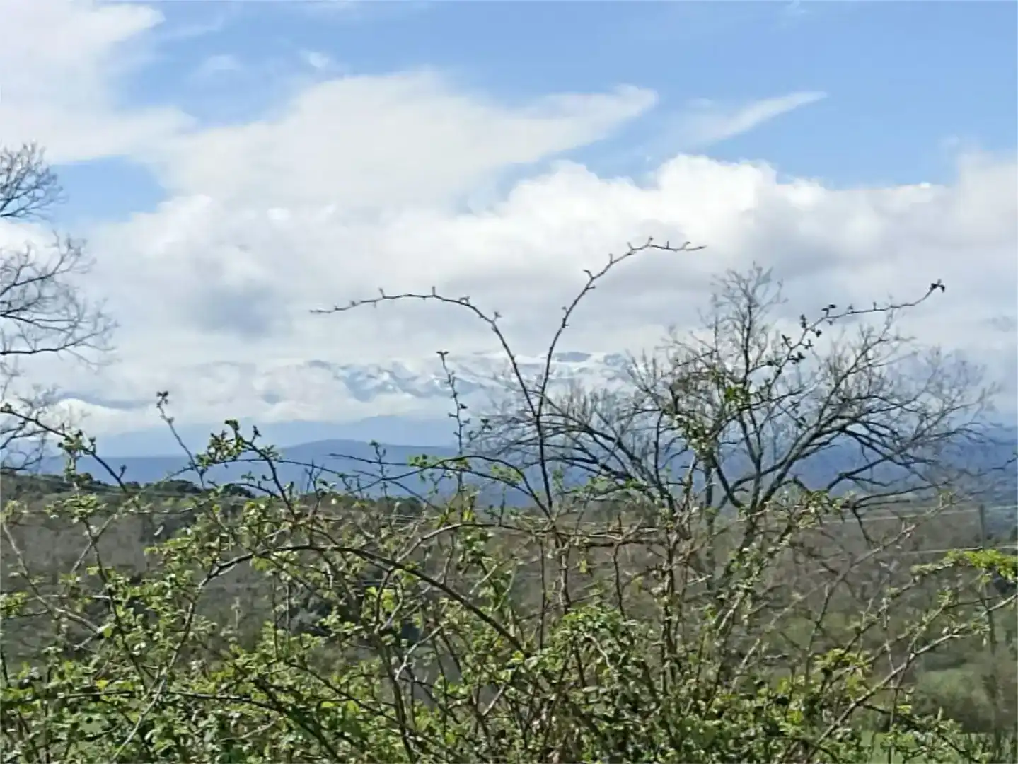Planta baja en venta en Membribe de la Sierra con Amueblado