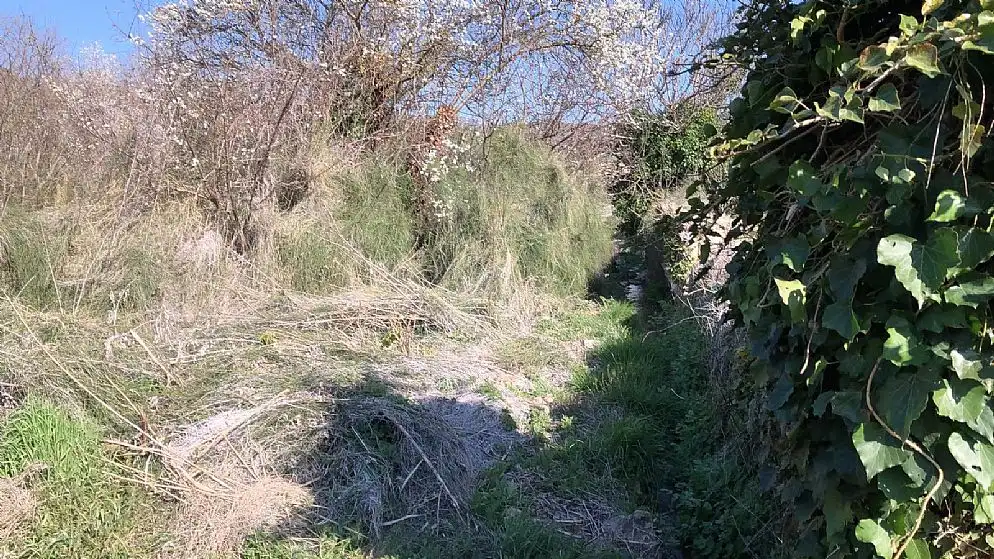 Terreni e lotti in vendita a Paraje Fuentecilla, imagen 9
