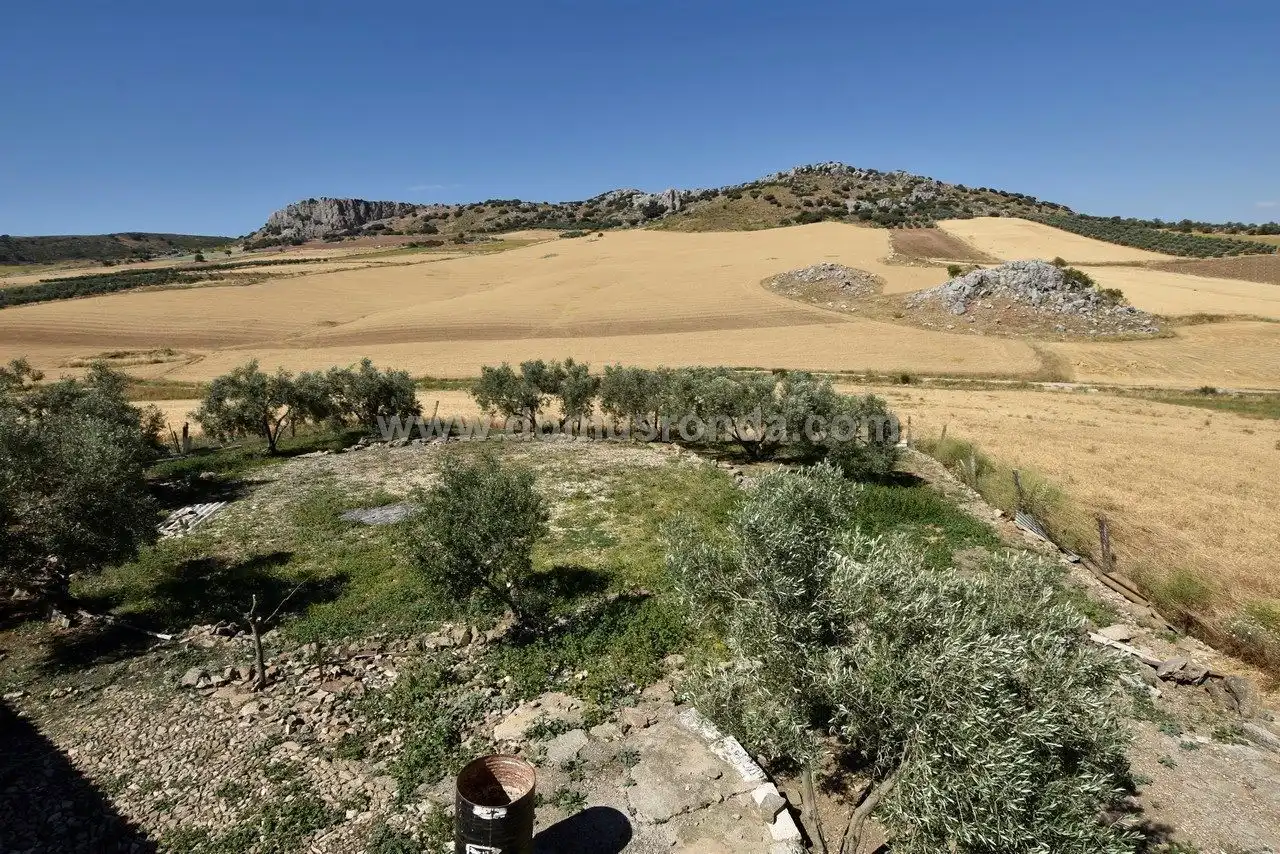 Terreny residencial en venda a Cuevas del Becerro, imagen 8