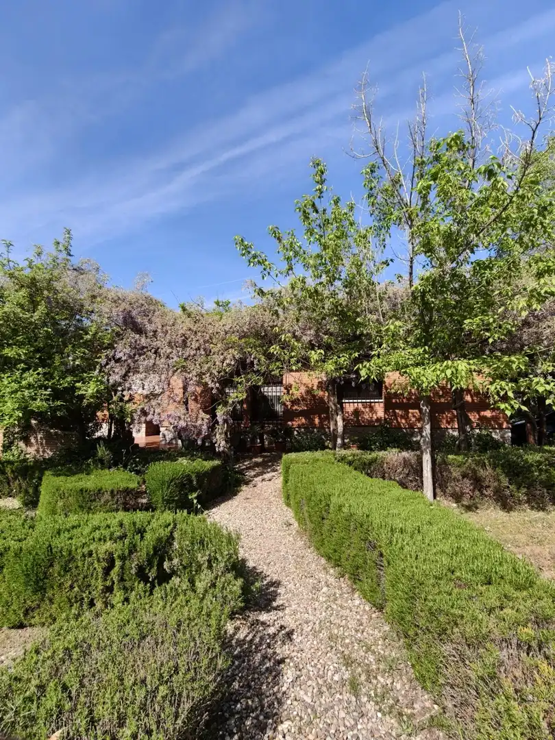 Chalet en venta en CERRO PALOS poligono 45 parcela 63, imagen 38