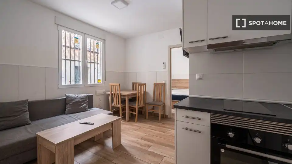 Kitchen of Flat for rent in  Madrid Capital  with Air Conditioner, Heating and Furnished