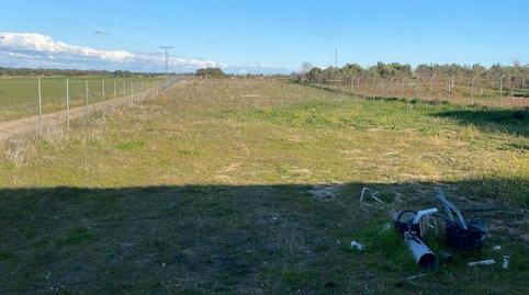 Foto 3 de Finca rústica en venda a Este, Badajoz