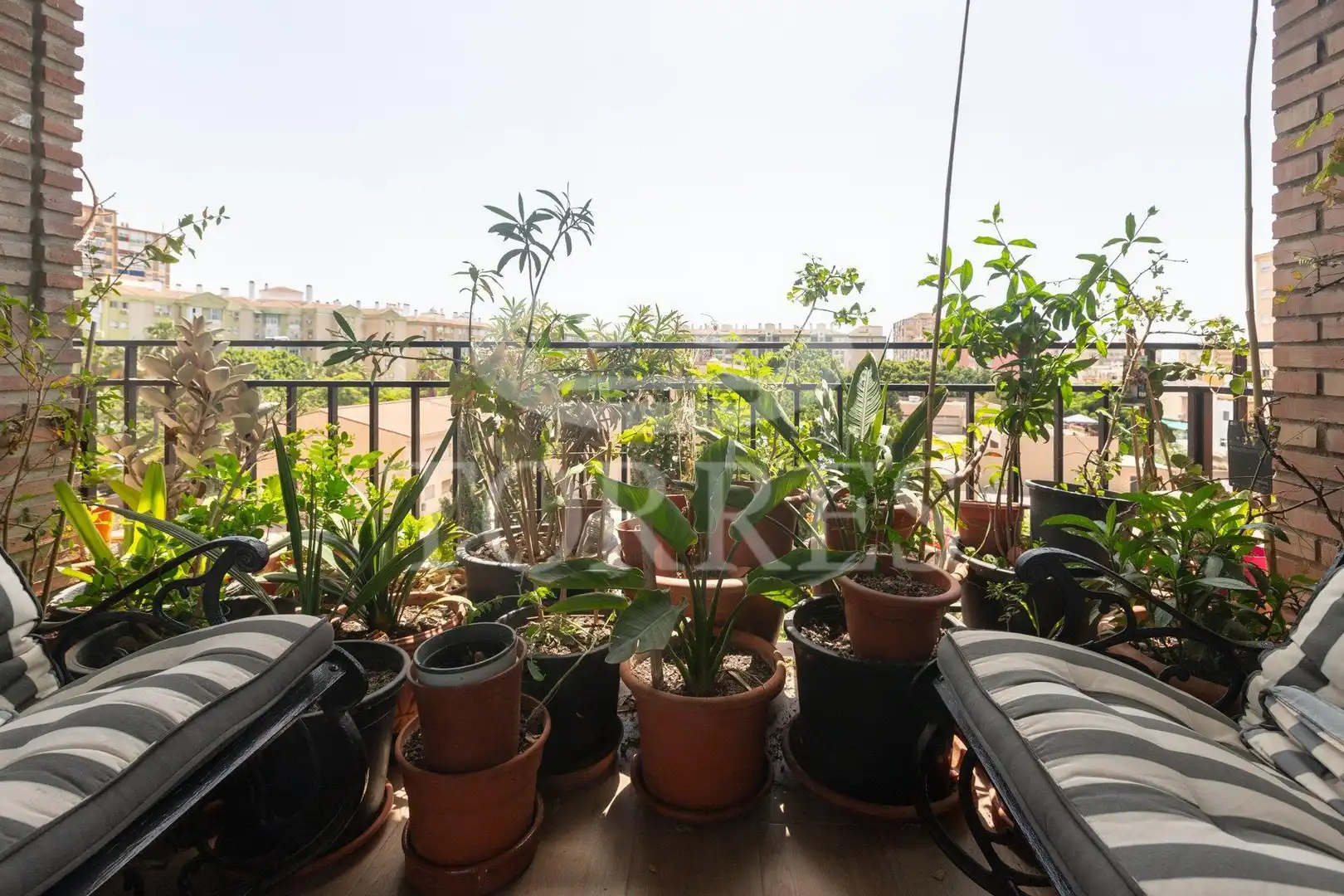 Terraza de Piso en venta en Málaga