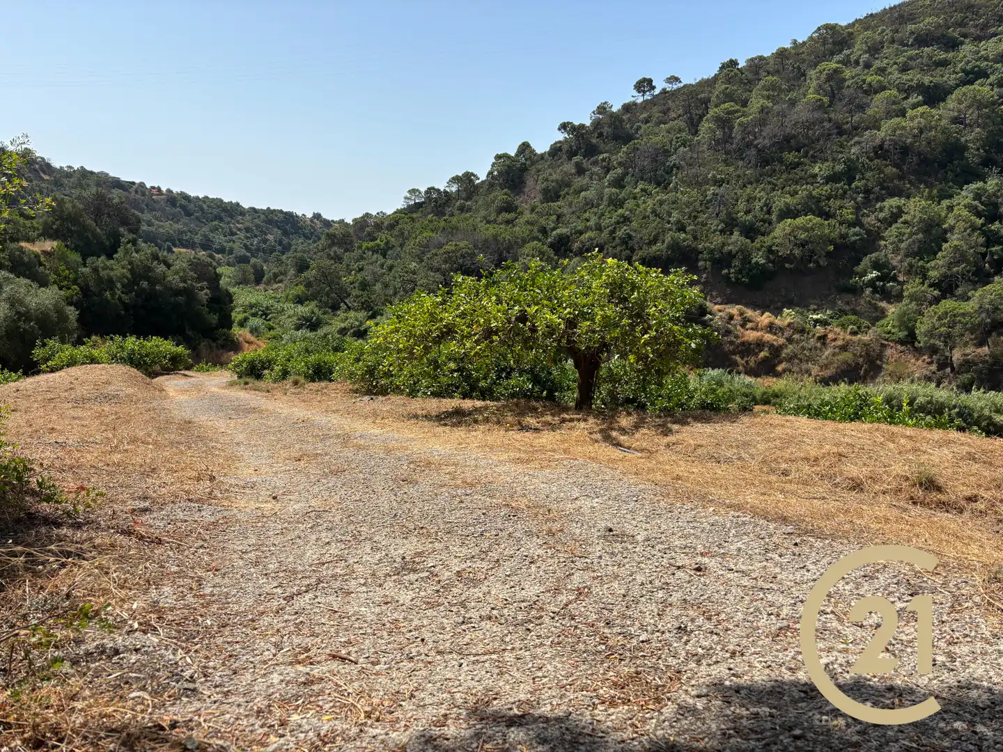 Land for sale in Estepona
