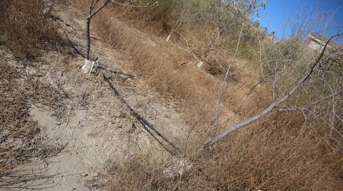 se vende finca rustica, immagine 3