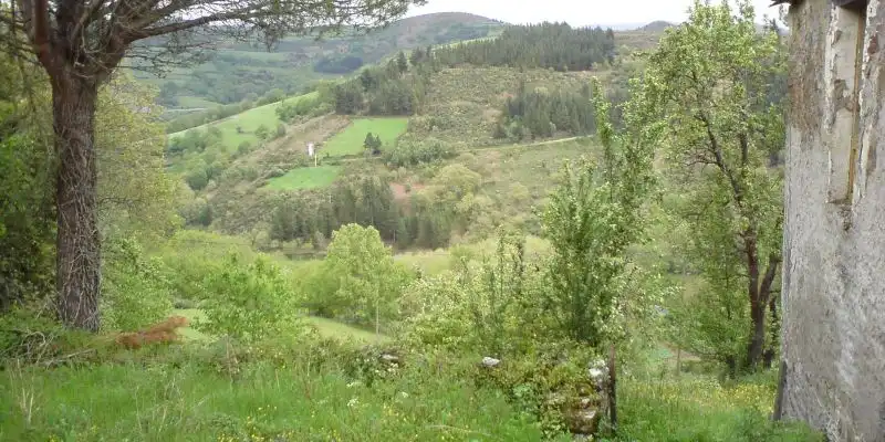 Finca rústica en venta en As Nogais 