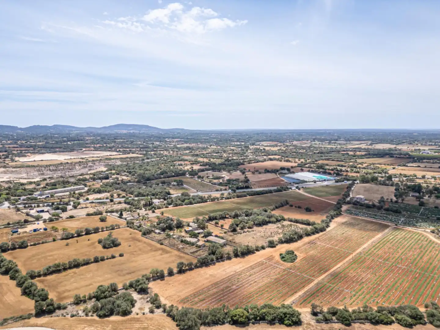 Terreno rustico in vendita a Felanitx Poble, imagen 20