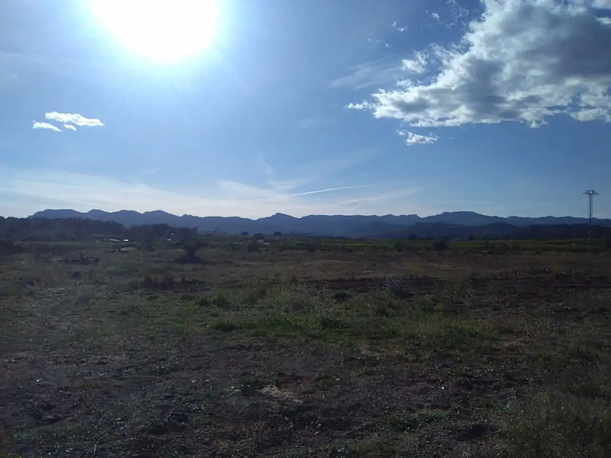 Terreno rústico en venta en Alfara de la Baronia, imagen 6