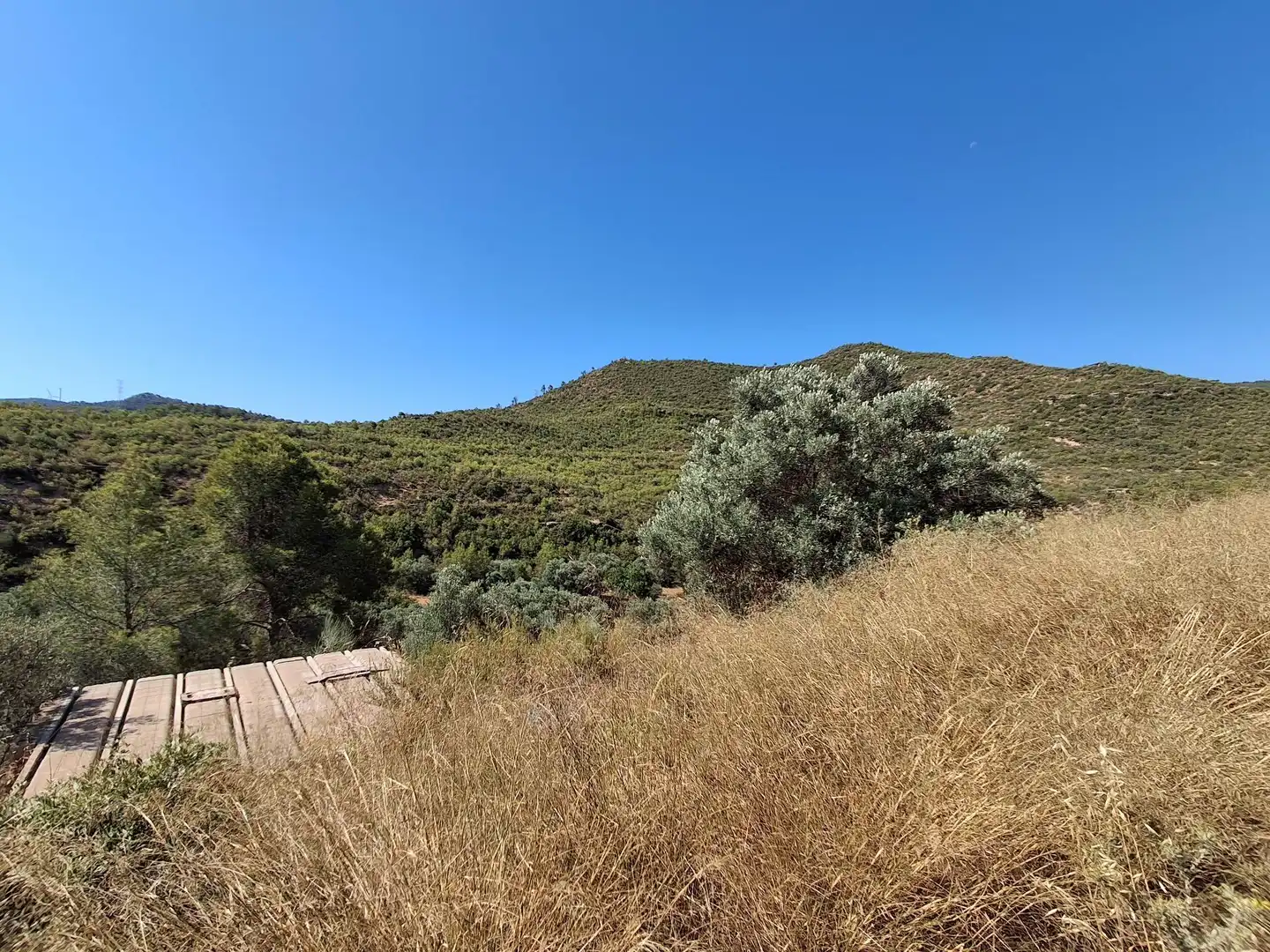 Finca rústica en venda en Riba-roja d'Ebre
