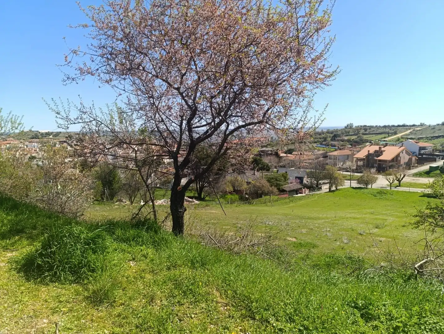 Terreny residencial en venda a Calle FUENTE 106, imagen 8