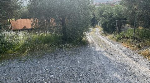 FINCA RÚSTICA CERCA DE LA LAGUNA DE PADUL, immagine 5