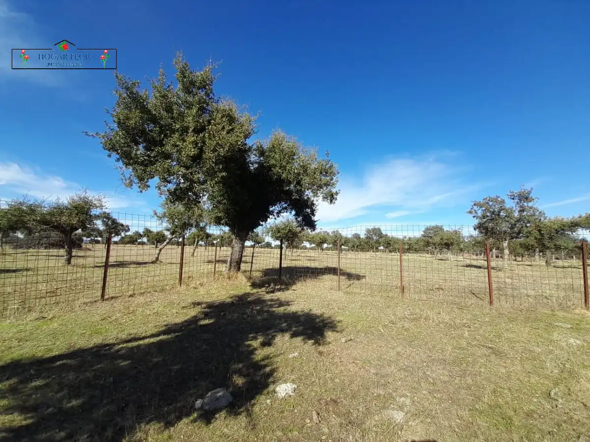 Finca rústica en venta en Carrascal del Obispo