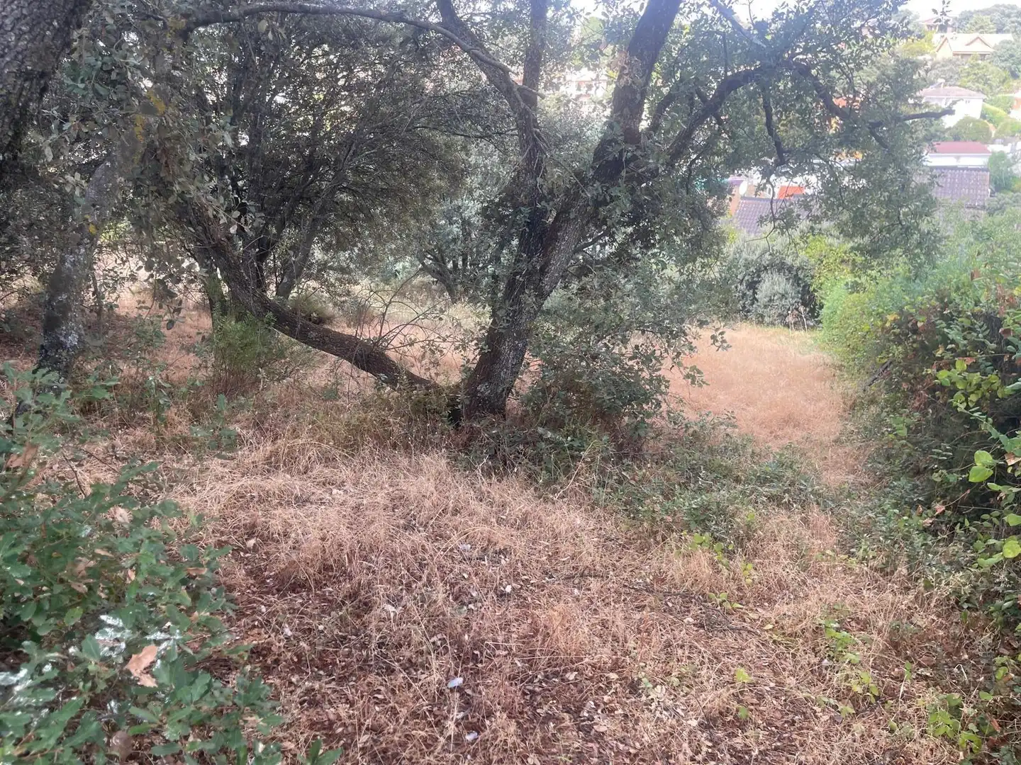 Terreno residenziale in vendita a El Casar, imagen 19