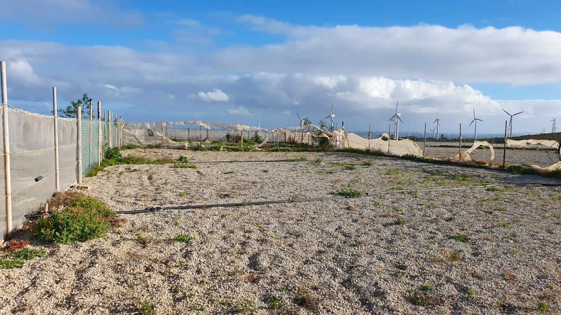 Terreno rustico in vendita a Arico, imagen 10