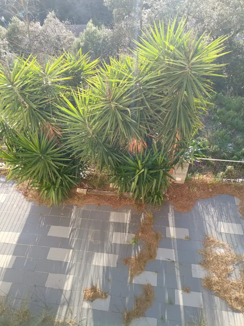 Garden of Houses for sale in L'Ametlla del Vallès  with Heating, Private garden and Terrace