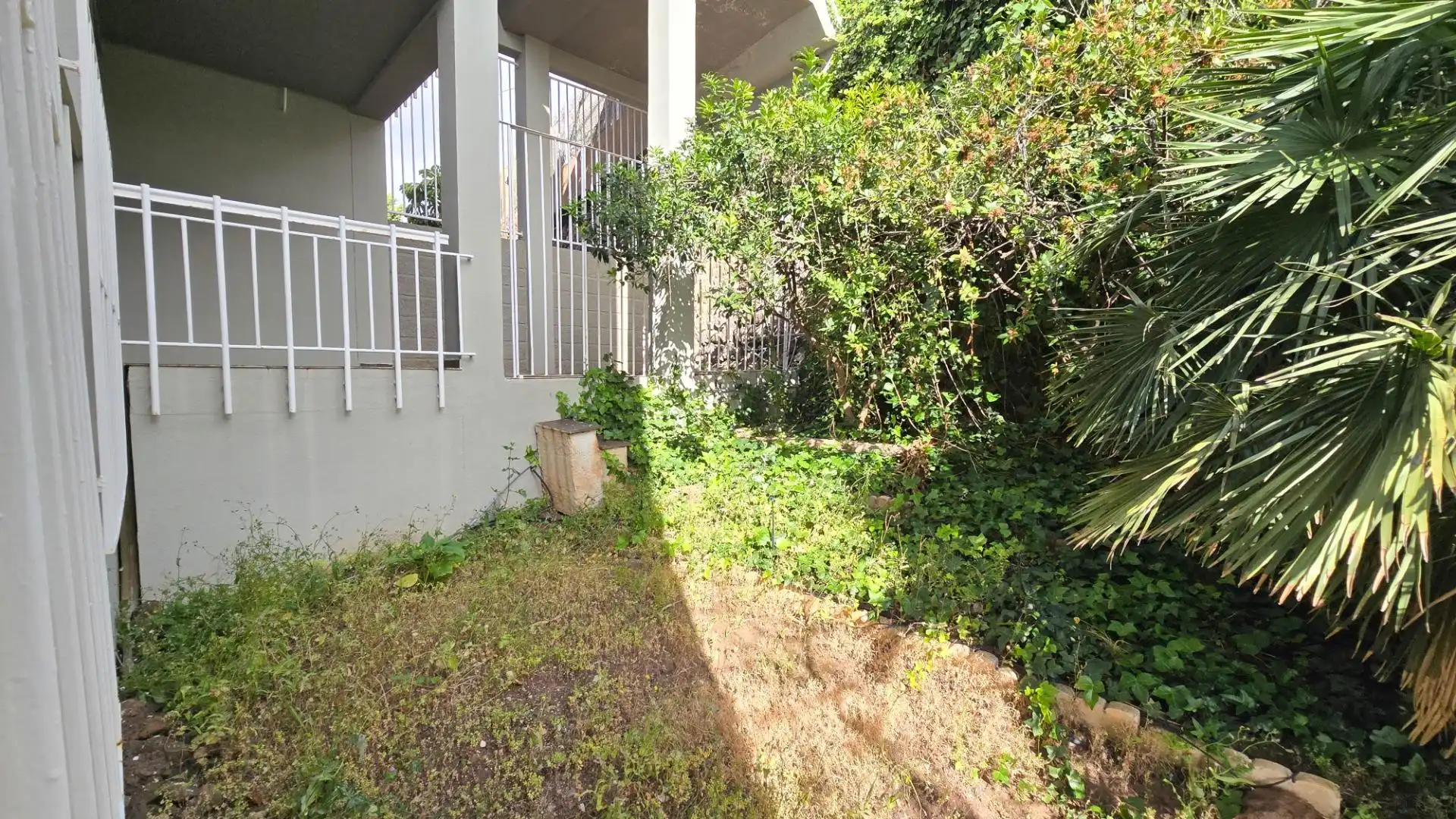 Garden of Flat for rent in Santa Cruz de Tenerife