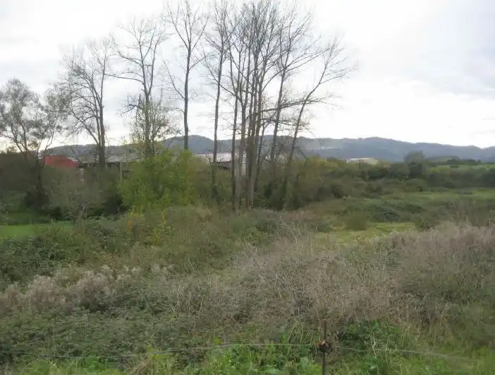 Terrenys i solars en venda a PL de Asipo, sector ampliación, imagen 8