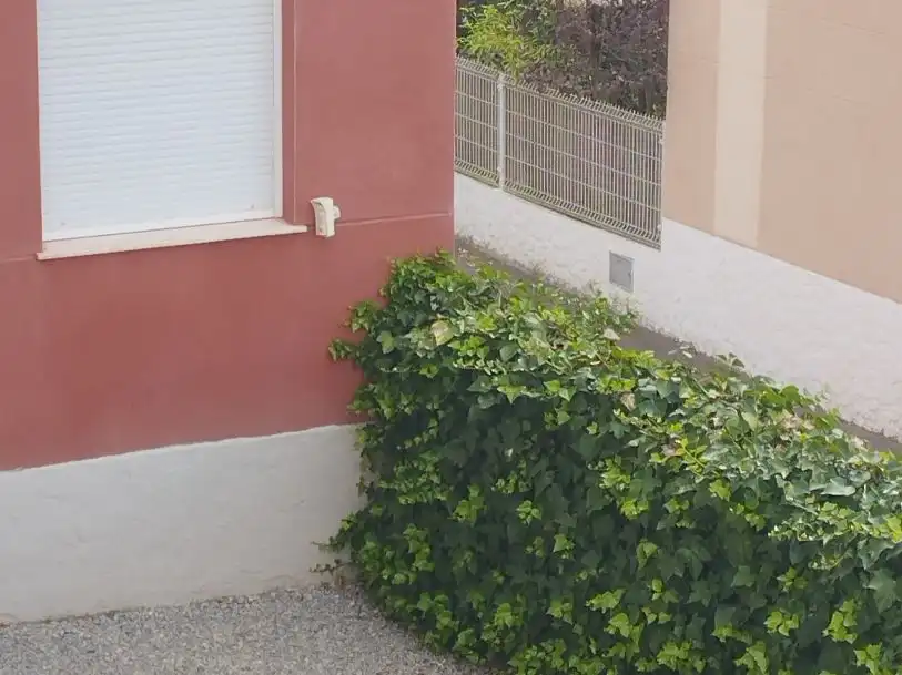 Casa pareada con piscina en alquiler en Calle la Falaguera 1, imagen 4