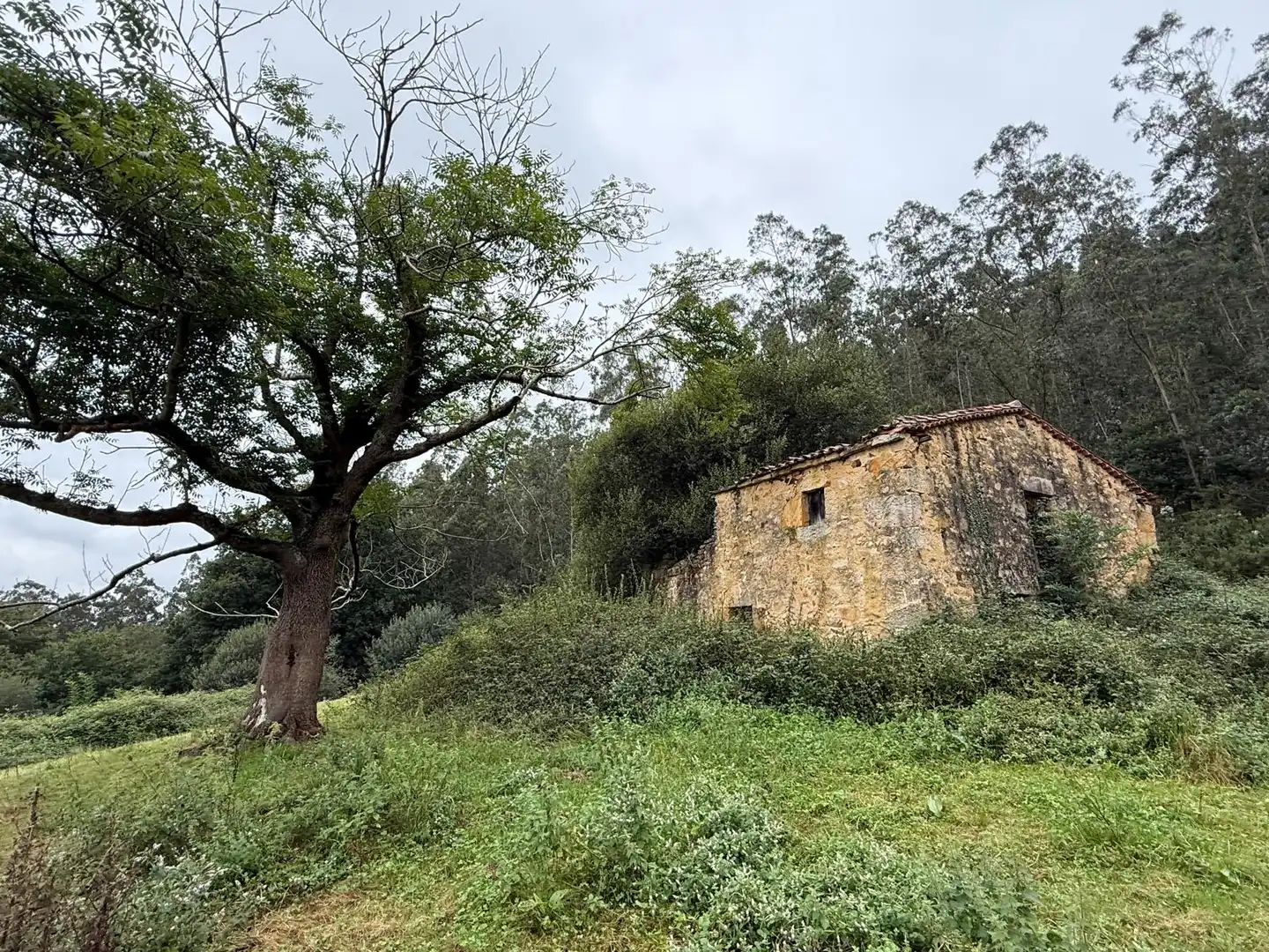 Casa en venta en Lloreda Diseminado 134, imagen 3