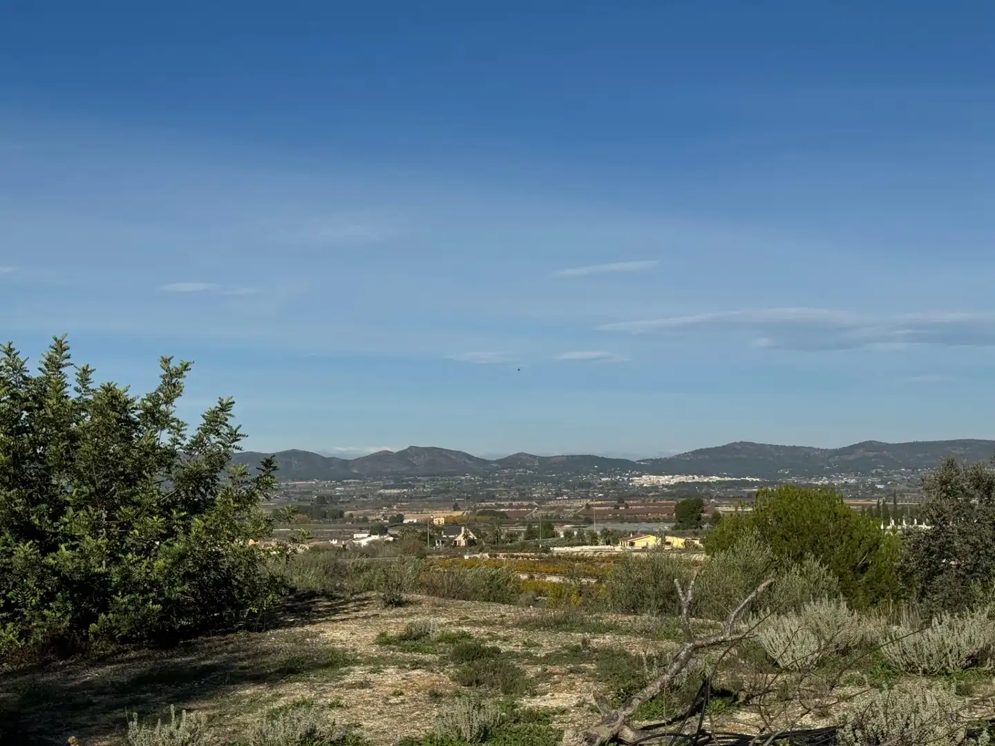 Finca rústica en venda en El Palomar amb Jardí privat, Terrassa i Traster