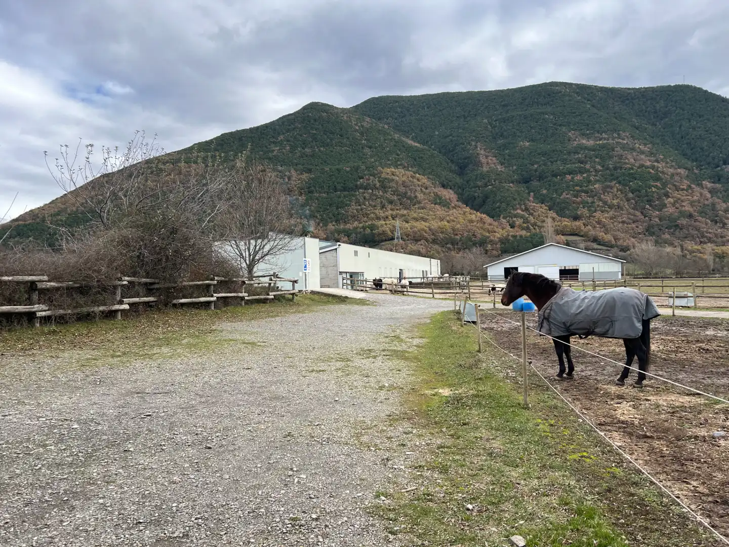 Terreni e lotti in vendita a Camino Oros Alto, imagen 62