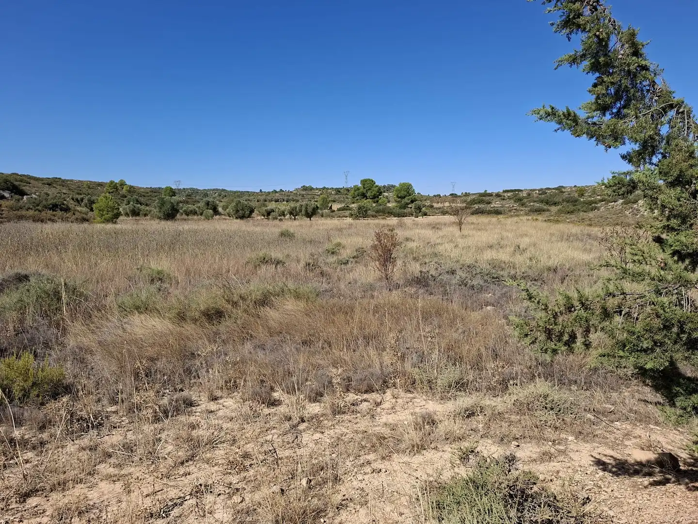 Terreno rustico in vendita a N/A, imagen 10