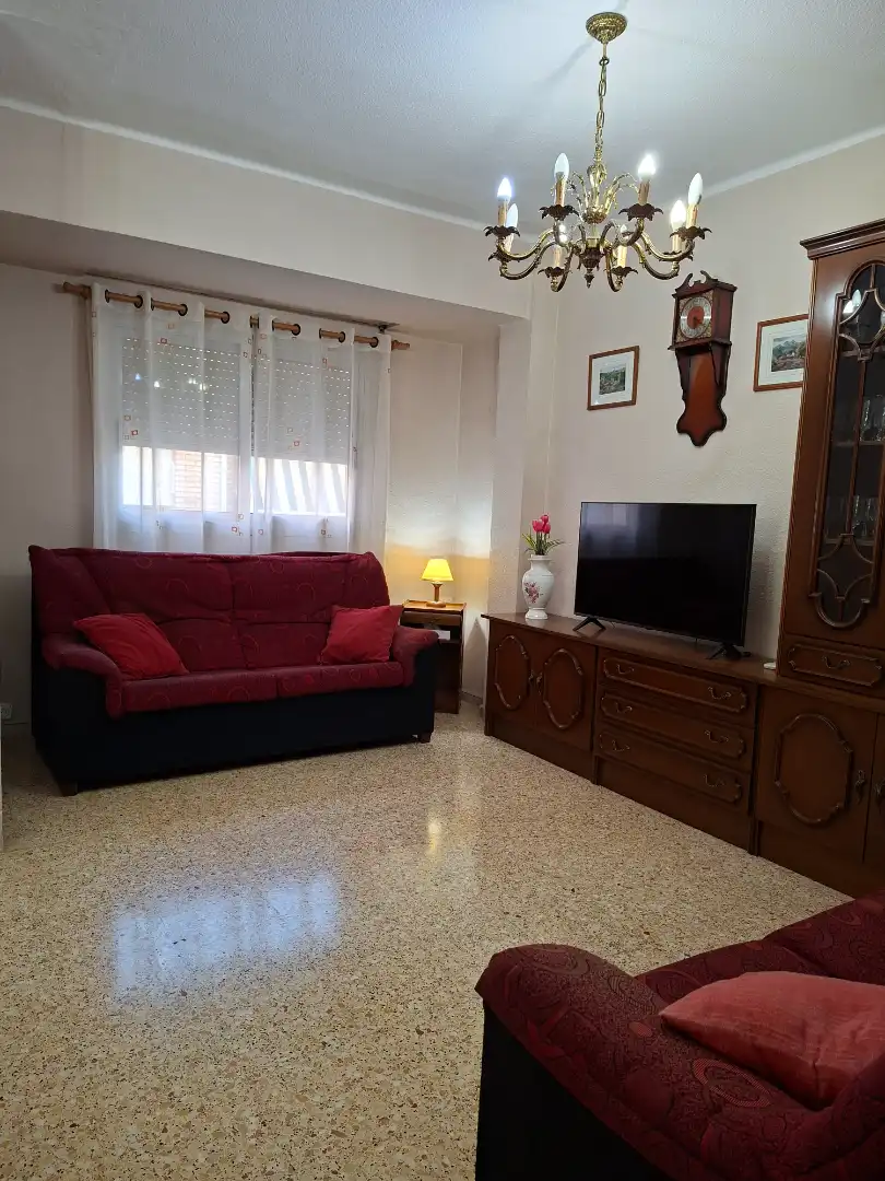 Sala d'estar de Pis en venda en Alfafar amb Aire condicionat, Moblat i Forn