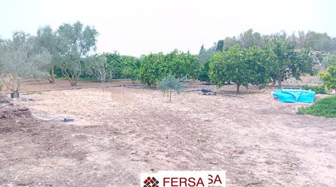 Photo 4 of House or chalet for sale in Cuatro Pinos - El Carmen, Cádiz