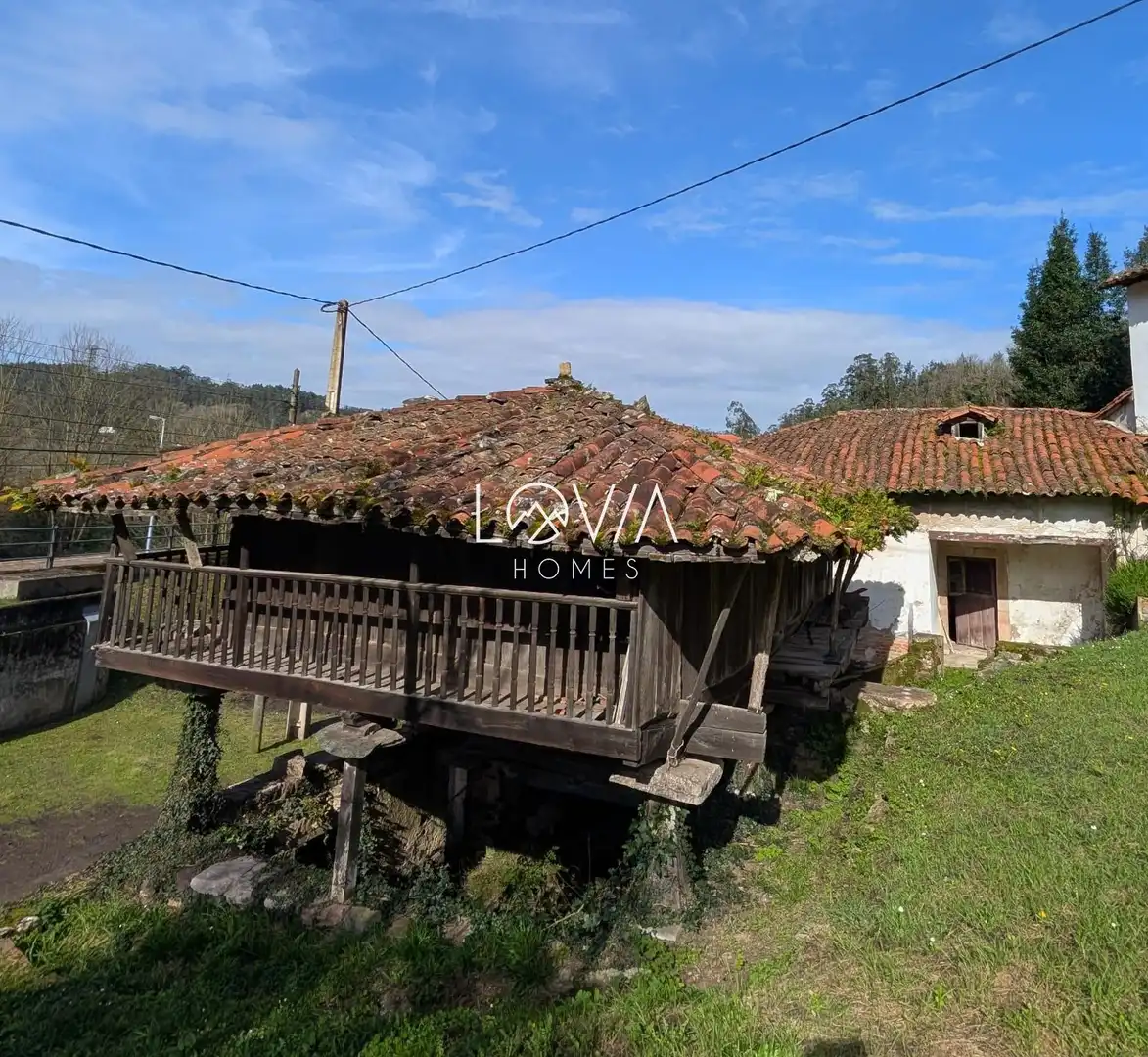Vista exterior de Casa o xalet en venda en Pravia amb Jardí privat