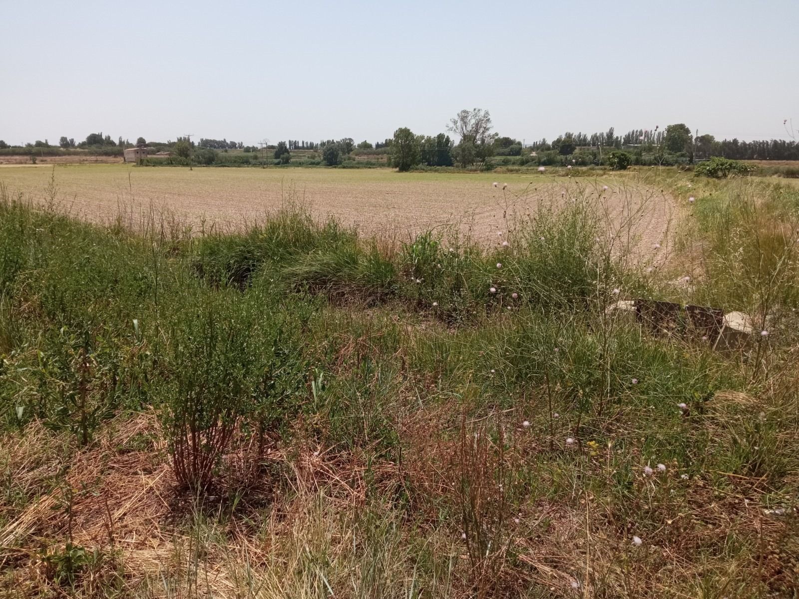 Terreno en venta en Pinseque