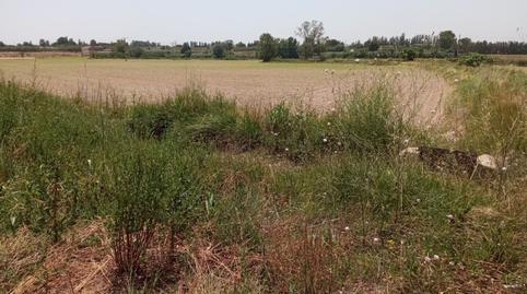 Foto 2 de Terreny en venda a Pinseque, Zaragoza