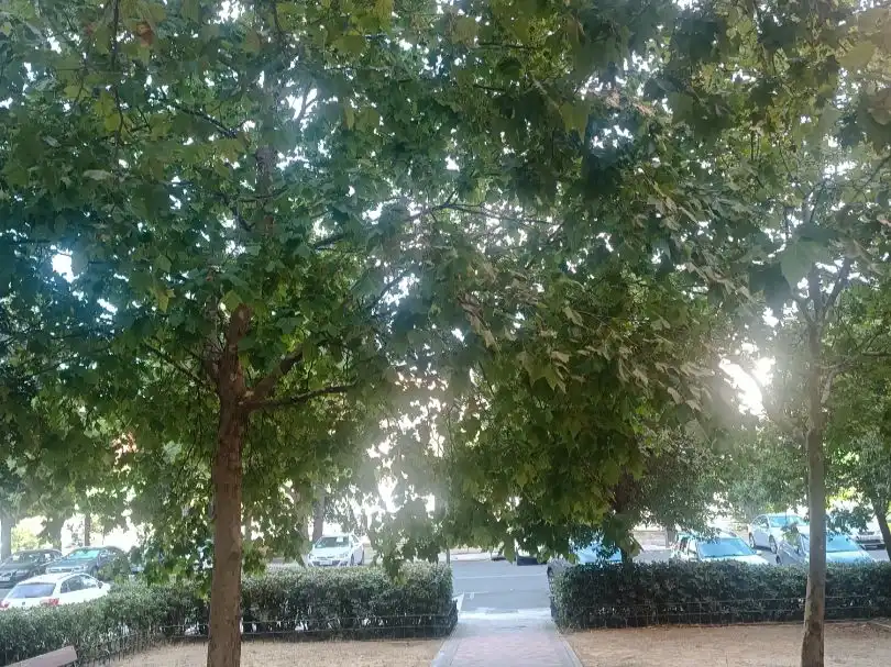 Vista exterior de Pis de lloguer en Chamartín