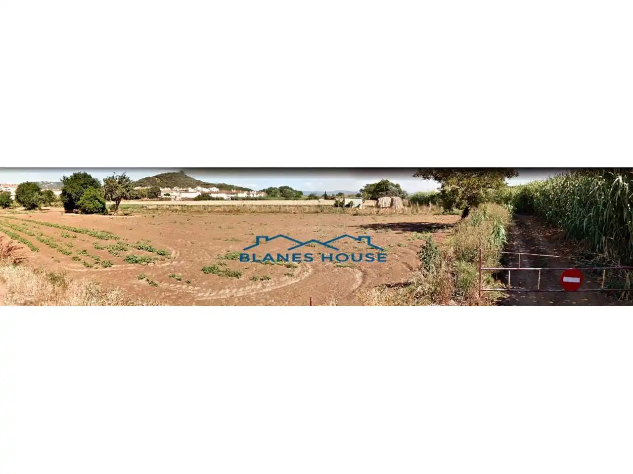 Rural land for sale in Calle Rec de Viver 24, imagen 6